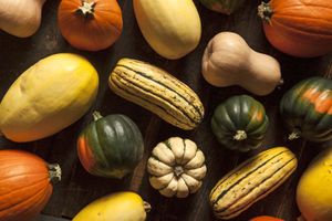 winter squash