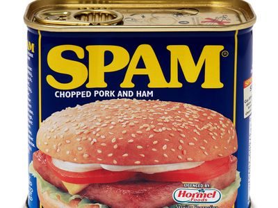 SPAM