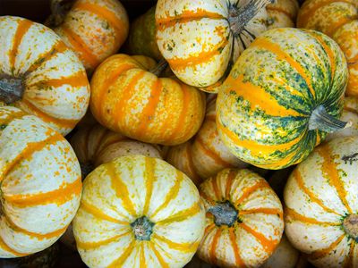 pumpkins and gourds