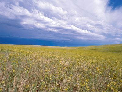 Buffalo Gap National Grassland