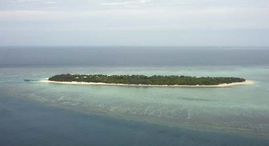 Heron Island