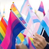 Various LGBTQ pride flags. Rainbow flag. Transgender flag (pale pink, blue and white). Bisexual flag (dark pink, purple, blue)