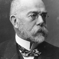 Robert Koch.