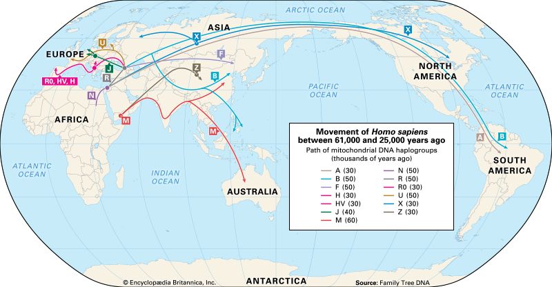 human migration by gene type: 60,000 to 26,000 years ago