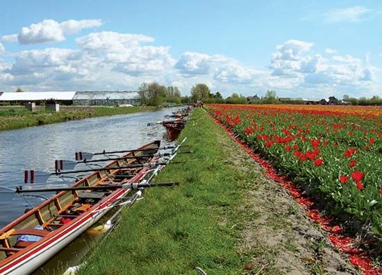 Zuid-Holland: Bulbland