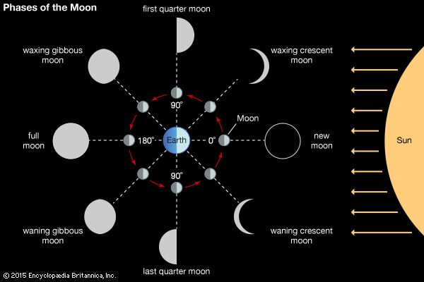 Lunar phase | Definition, Examples, & Facts | Britannica