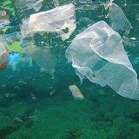 Environmental problem of plastic rubbish pollution in ocean