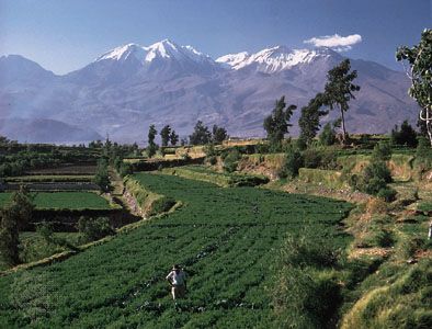 Peruvian terraced fields