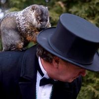 Groundhog handler Ron Ploucha holds Punxsutawney Phil after he saw his shadow predicting 6 more weeks of winter during 126th annual Groundhog Day festivities on February 2, 2012 in Punxsutawney, Pennsylvania. omen