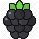 Blackberry  Icon