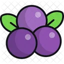 Blueberry  Icon