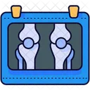 Bone Xray Xray Skeleton Icon