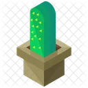 Cactus  Icono