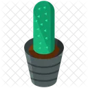 Cactus  Icono