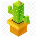 Cactus  Icono