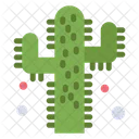 Cactus  Icon