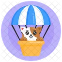 Pet Air Balloon Cat Air Balloon Animal Air Balloon Icon