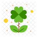 Clover Flower  Icon