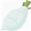 Daikon  Icon