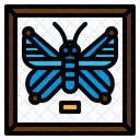 Entomological Miscellaneous Collection Icon