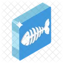 Fish Skeleton Fish Fossils Fishbone Icon