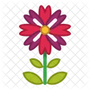 Flower Icon