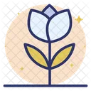 Flower Rose Fragrance Icon