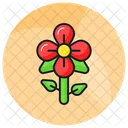 Flower Floral Nature Icon