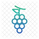 Grapes  Icon