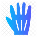 Hand Gloves  Icon