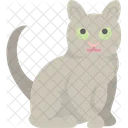 Korat Cat  Symbol