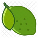 Lime Fruit Fit Icon