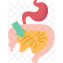 Mesentery  Icon