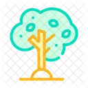 Olive Tree Color Icon