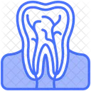 Root Canal Tooth Nerve Icon