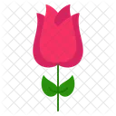 Rose Flower Fragrance Icon