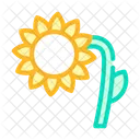 Sunflower Plant Color Icon