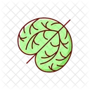 Tumbleweed Weed Bush Icon