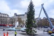 trafalgar square christmas tree mocked