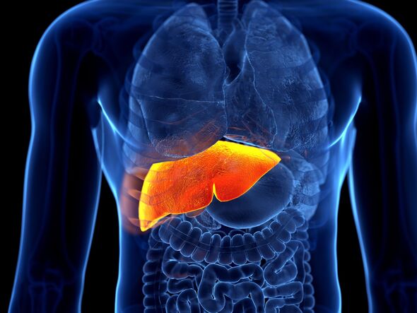 causes of liver damage