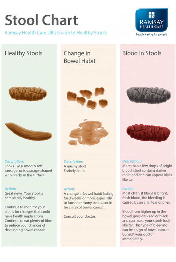 Blood In Human Stool Looks Like