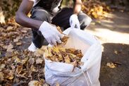 gardening clear fallen leaves