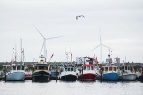 labour sandeels brexit fishing ban EU