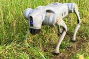 robot dogs farming trial