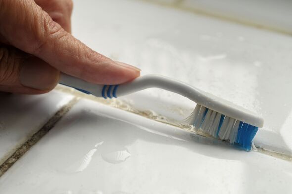 banish mould silicone sealants ingredient