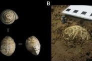 archaeology breakthrough spain fossils neanderthal