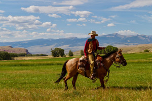 Lazy L&B Ranch