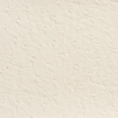 K8815 EGGSHELL Upholstery Fabric by the Yard