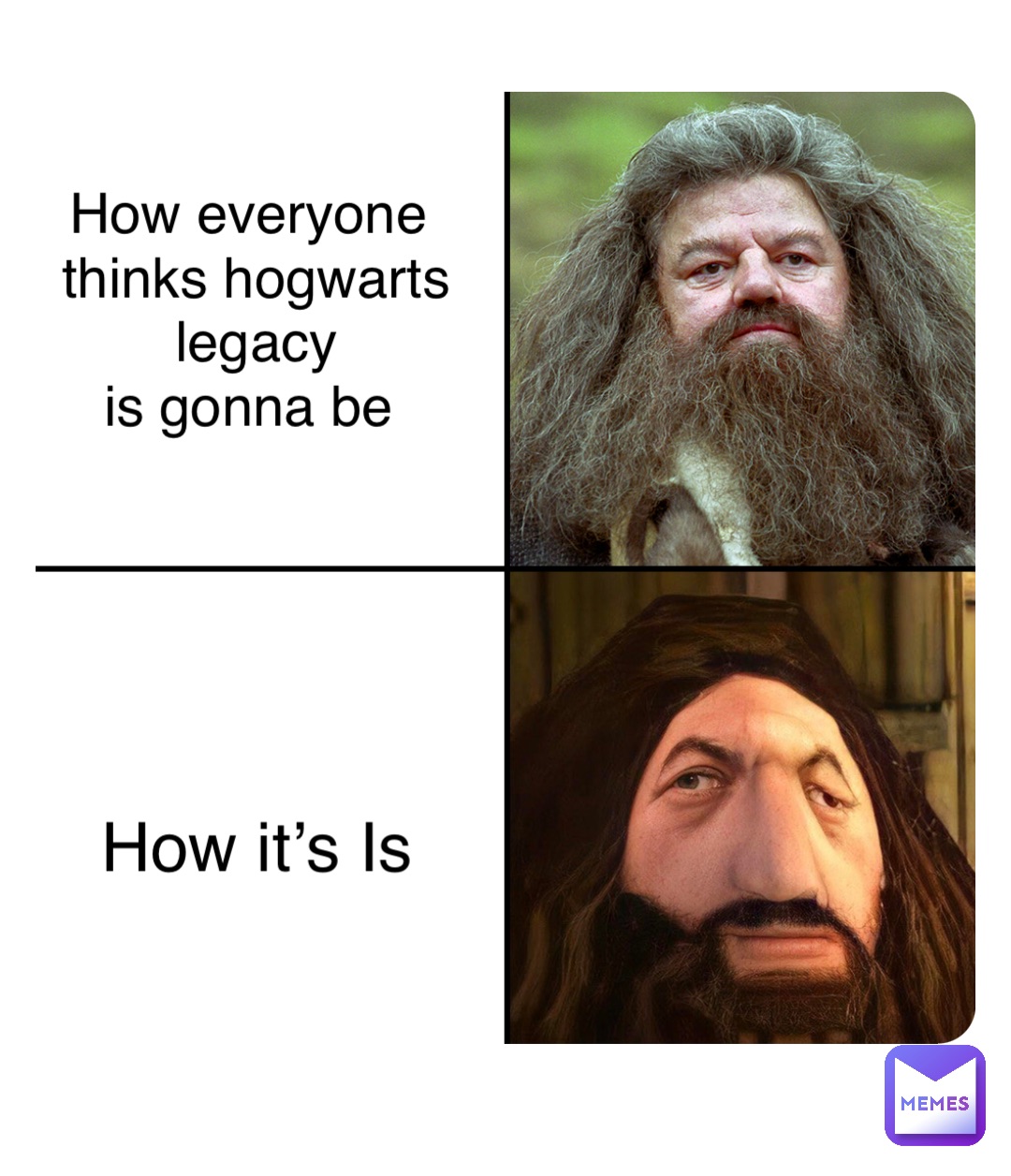 How everyone
thinks hogwarts 
legacy 
is gonna be How it’s Is