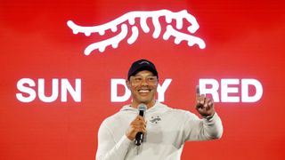 Puma pounces on Tiger Woods' logo design in new lawsuit